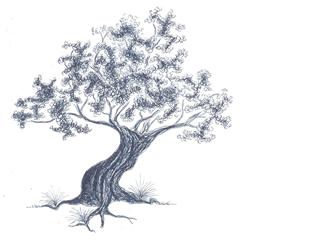 Imagen adjunta de prueba